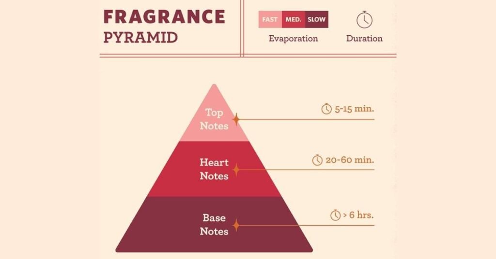 Perfume Notes 5 Effective Tips On How To Smell Good All The Time 